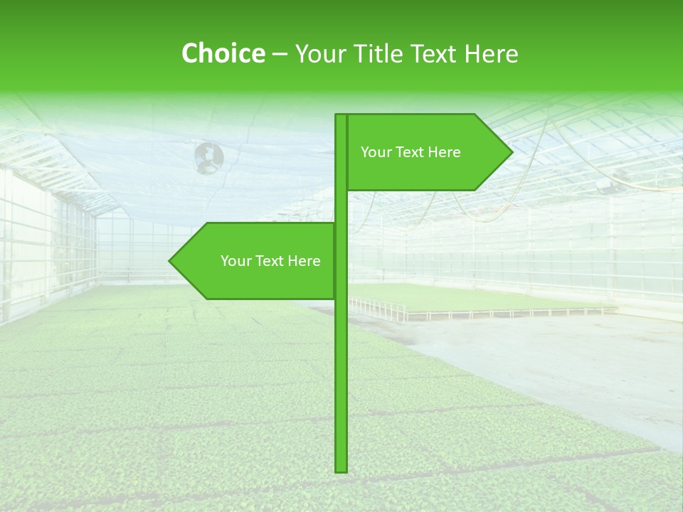 Glass Spotlight Desolate PowerPoint Template