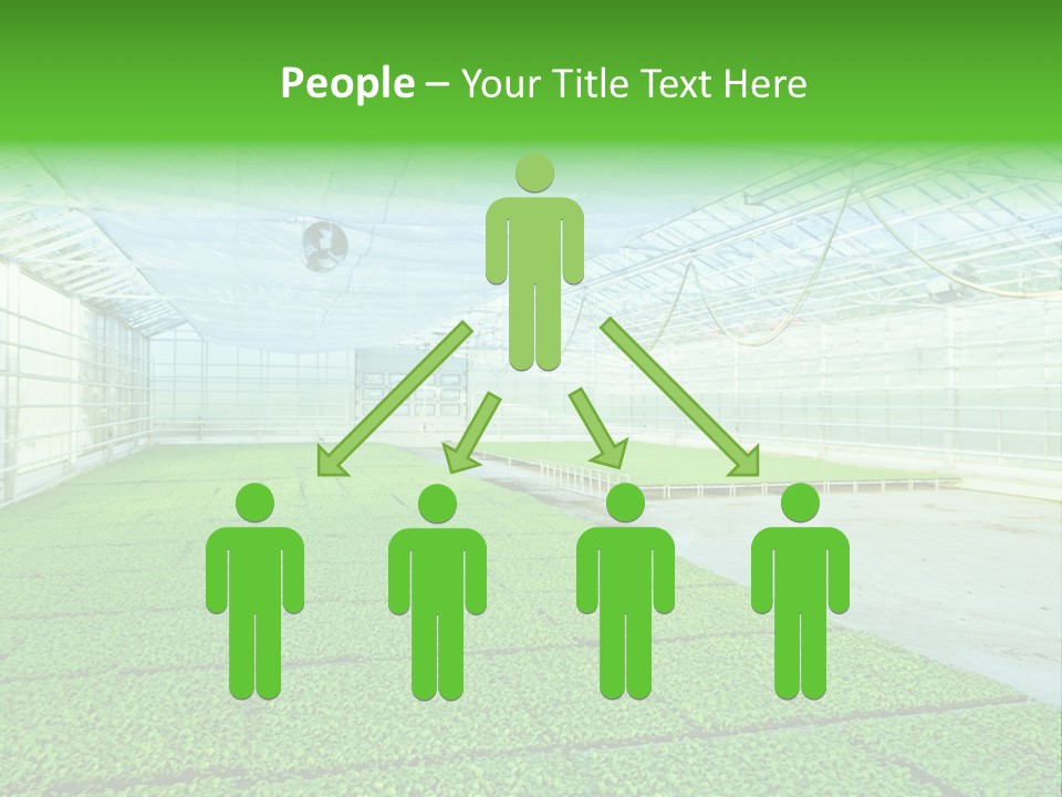 Glass Spotlight Desolate PowerPoint Template