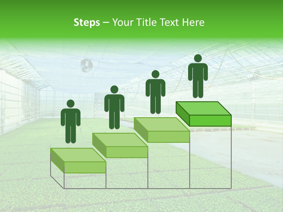 Glass Spotlight Desolate PowerPoint Template