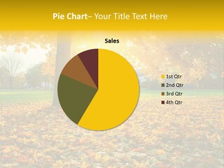 Sun Green Woods PowerPoint Template