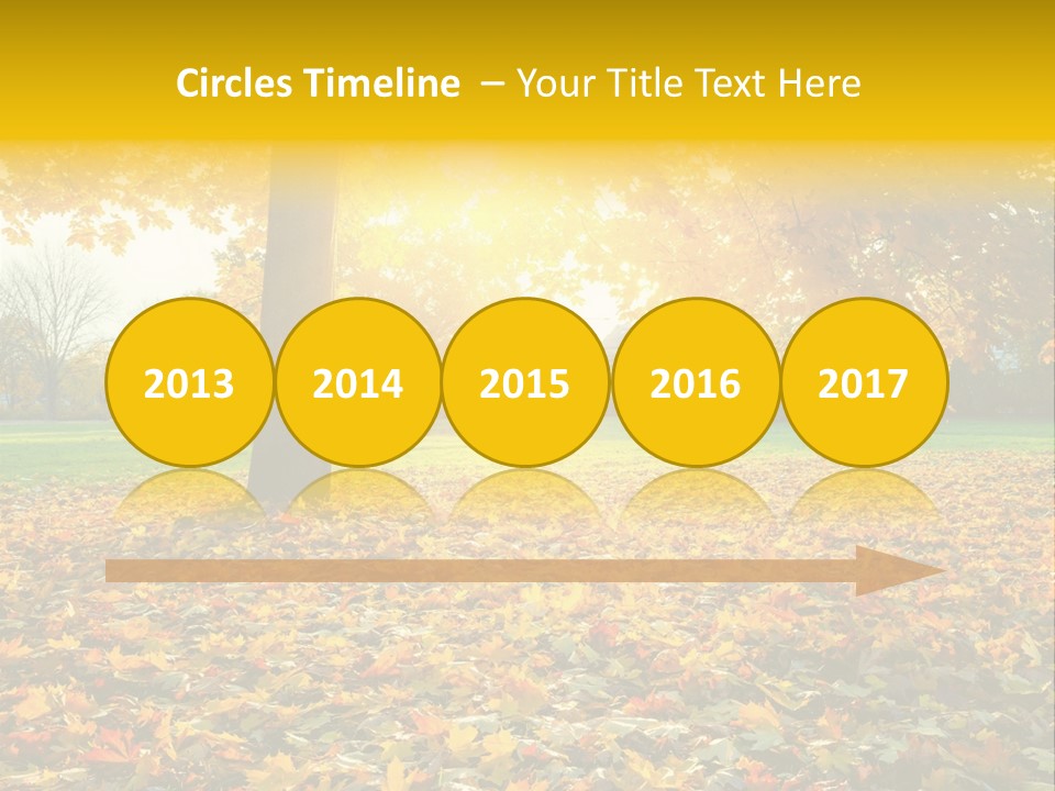 Sun Green Woods PowerPoint Template