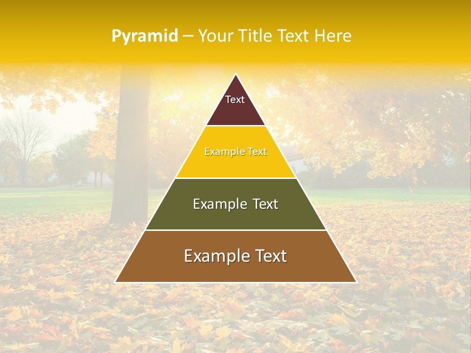 Sun Green Woods PowerPoint Template