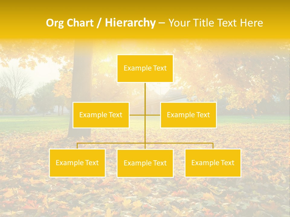 Sun Green Woods PowerPoint Template