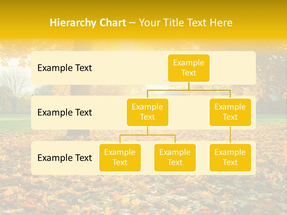 Sun Green Woods PowerPoint Template