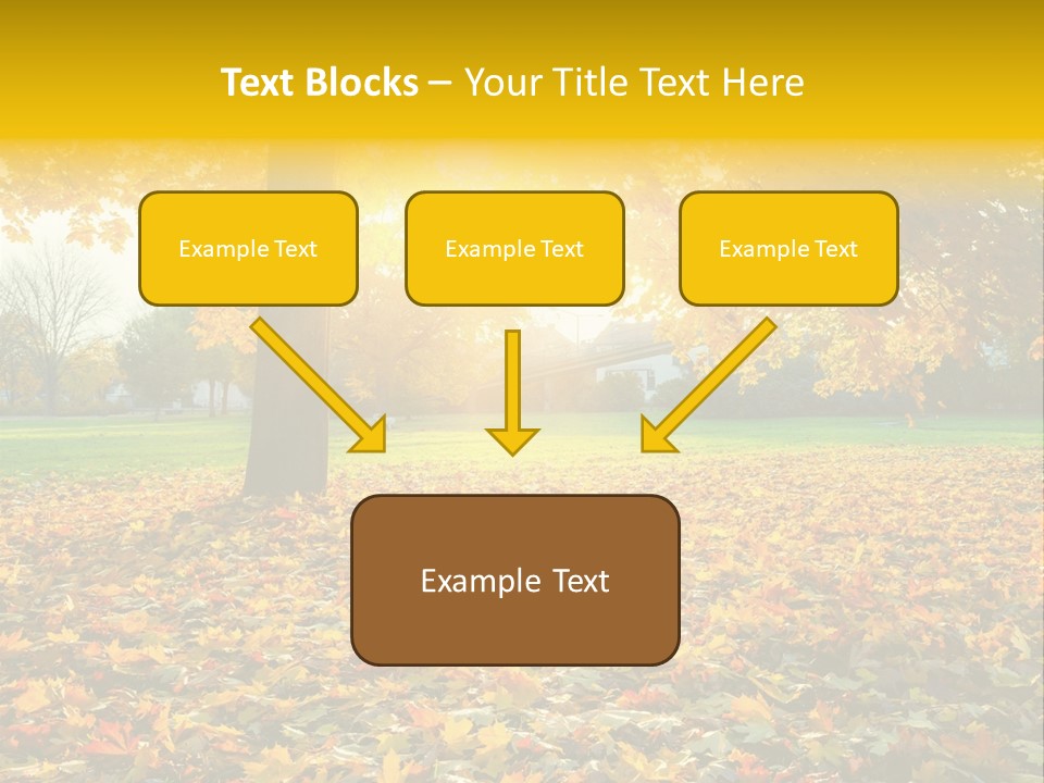 Sun Green Woods PowerPoint Template