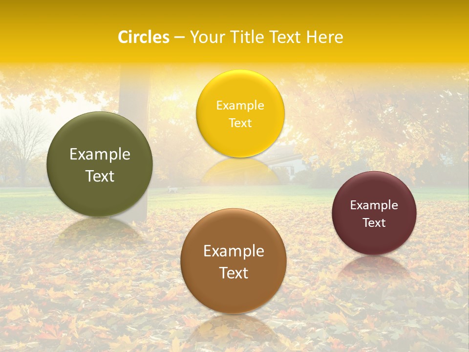 Sun Green Woods PowerPoint Template