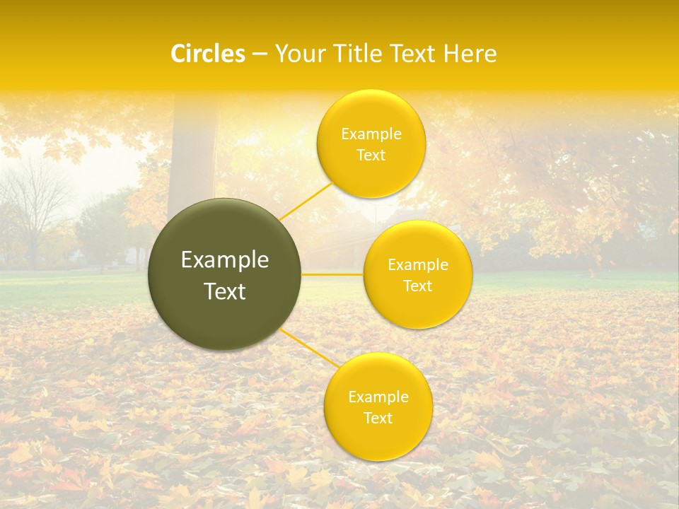 Sun Green Woods PowerPoint Template