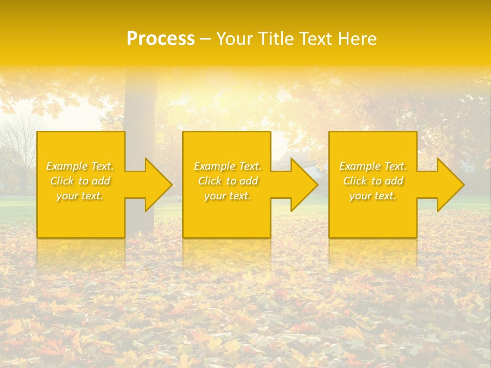 Sun Green Woods PowerPoint Template