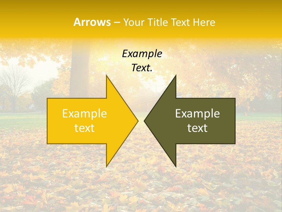 Sun Green Woods PowerPoint Template
