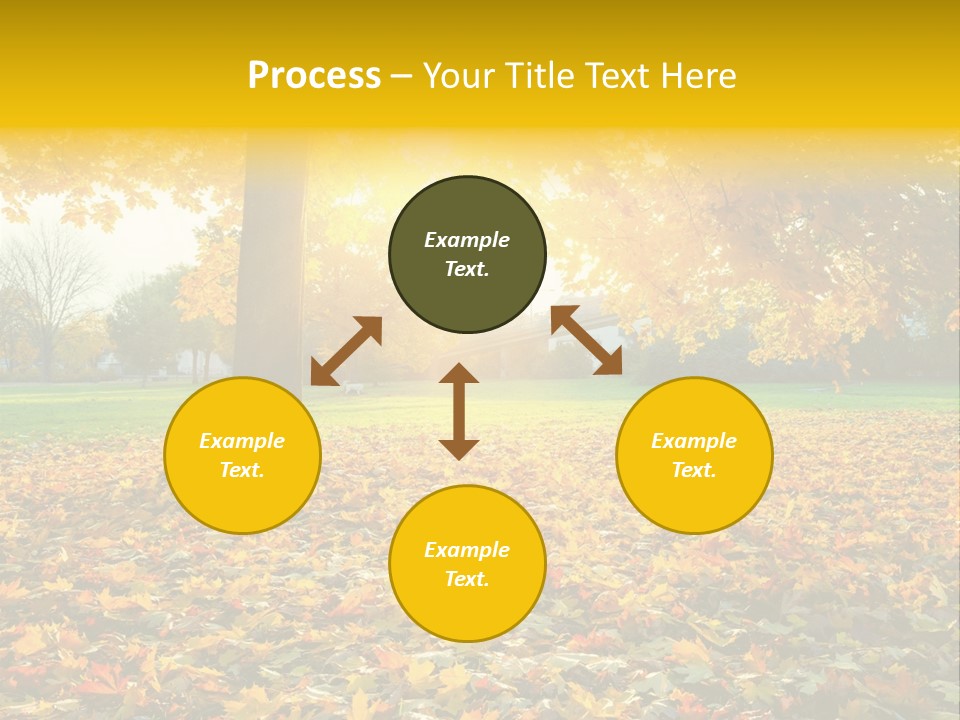 Sun Green Woods PowerPoint Template