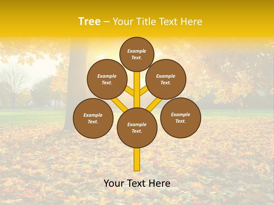 Sun Green Woods PowerPoint Template