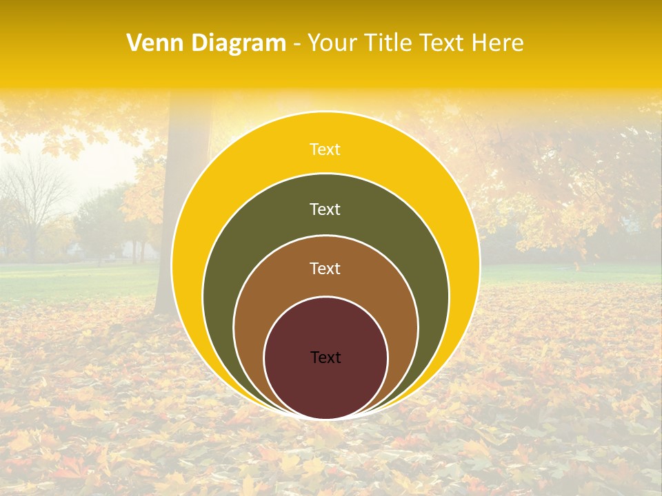 Sun Green Woods PowerPoint Template