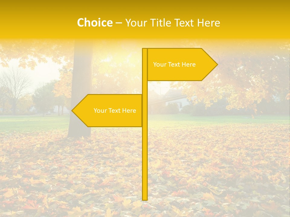 Sun Green Woods PowerPoint Template