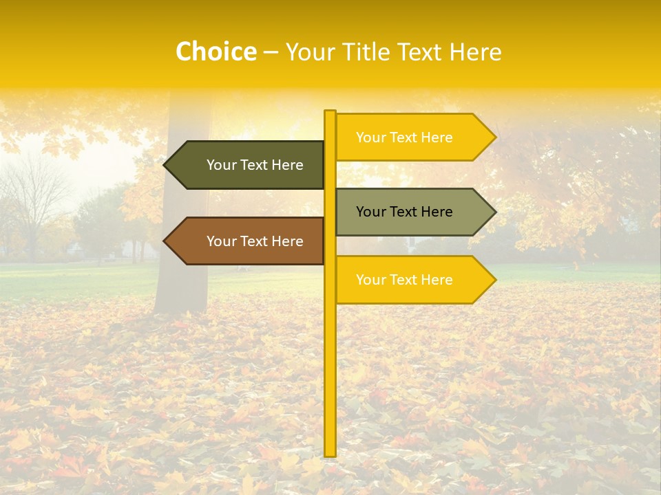 Sun Green Woods PowerPoint Template