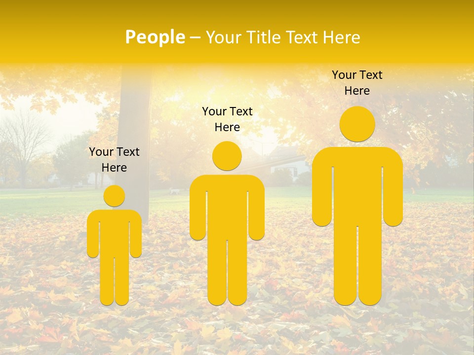 Sun Green Woods PowerPoint Template