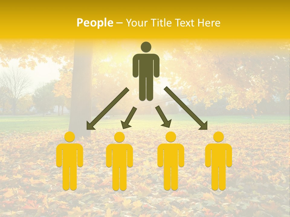 Sun Green Woods PowerPoint Template