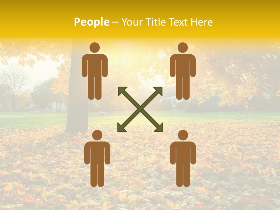 Sun Green Woods PowerPoint Template