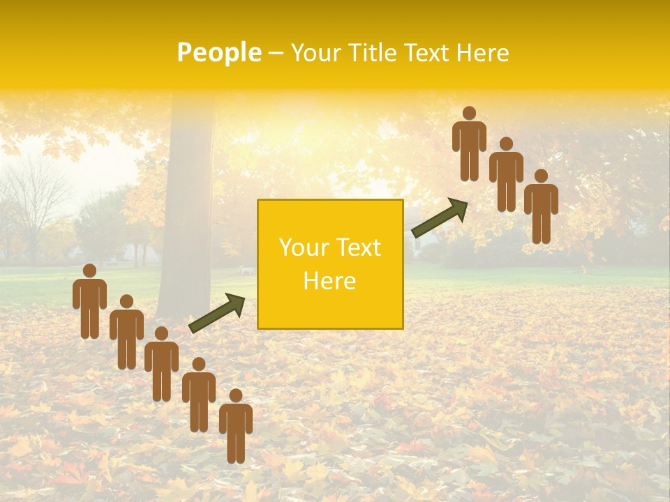 Sun Green Woods PowerPoint Template