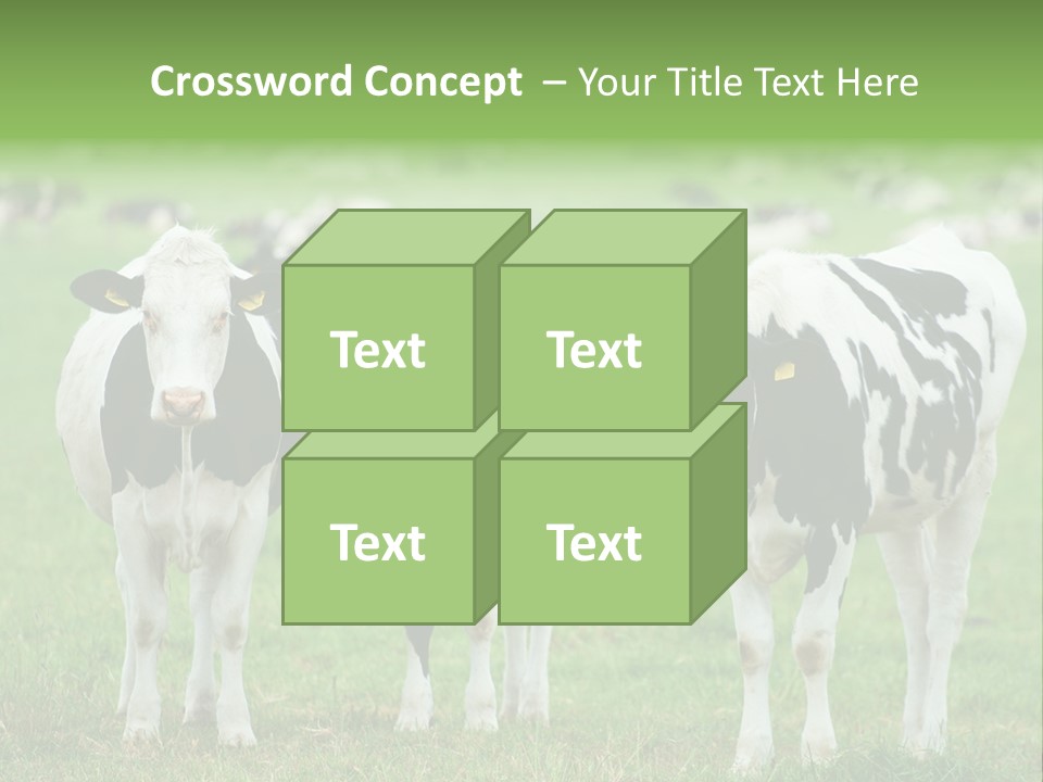 Rural Dairy Cattle Animal PowerPoint Template