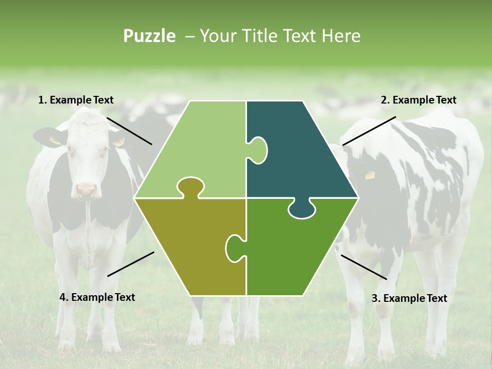 Rural Dairy Cattle Animal PowerPoint Template