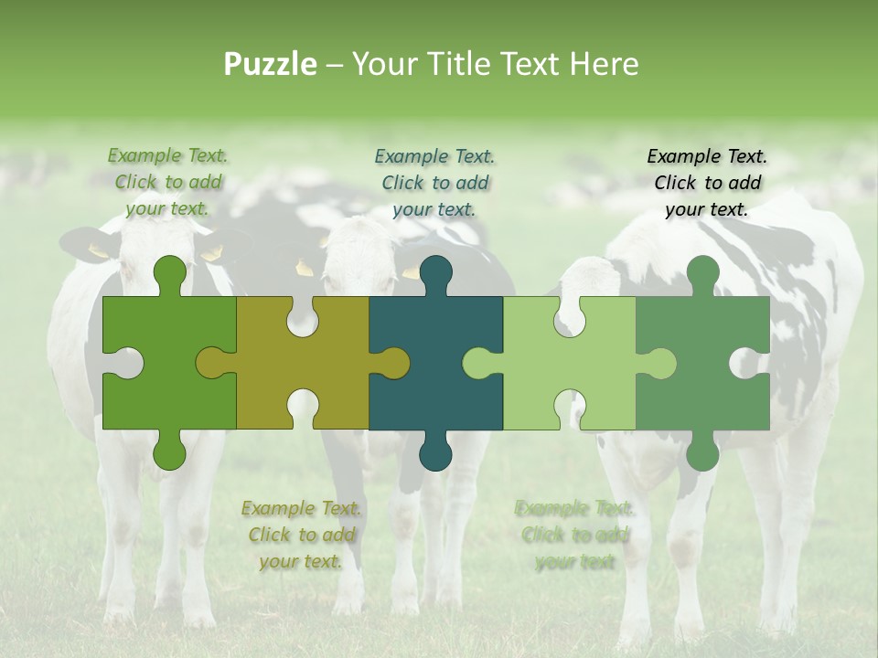 Rural Dairy Cattle Animal PowerPoint Template