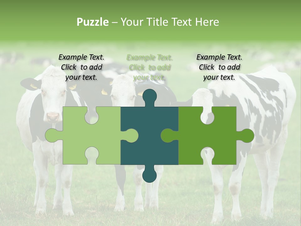 Rural Dairy Cattle Animal PowerPoint Template