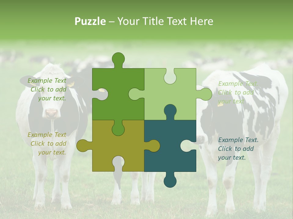 Rural Dairy Cattle Animal PowerPoint Template