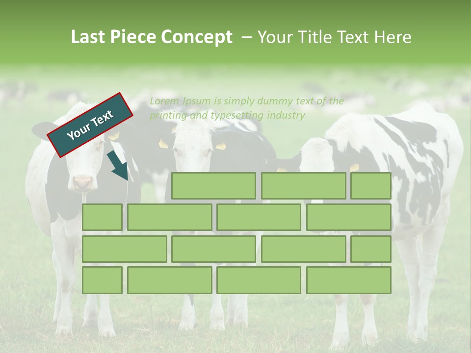 Rural Dairy Cattle Animal PowerPoint Template