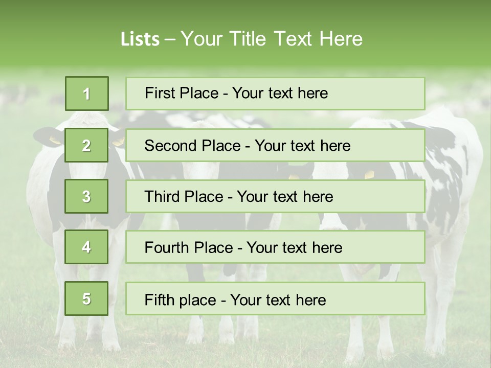 Rural Dairy Cattle Animal PowerPoint Template