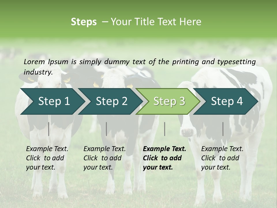 Rural Dairy Cattle Animal PowerPoint Template