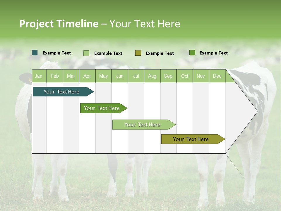 Rural Dairy Cattle Animal PowerPoint Template