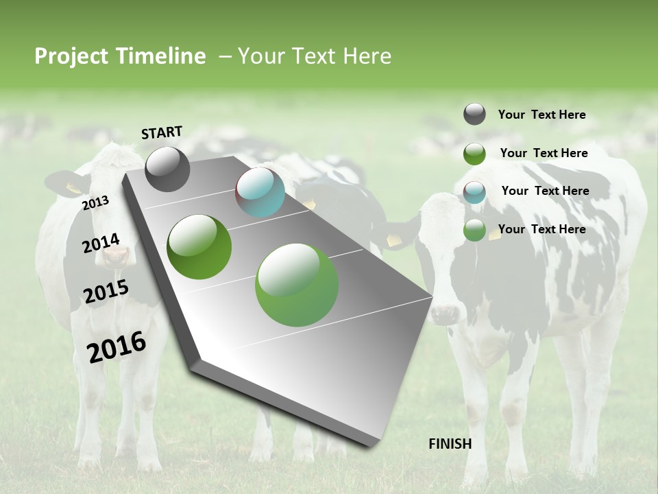 Rural Dairy Cattle Animal PowerPoint Template