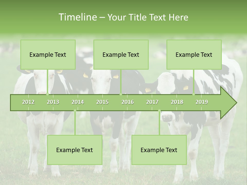 Rural Dairy Cattle Animal PowerPoint Template