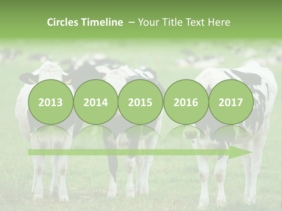Rural Dairy Cattle Animal PowerPoint Template