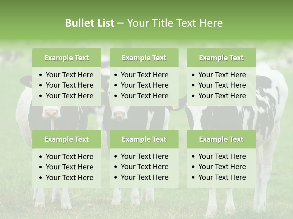 Rural Dairy Cattle Animal PowerPoint Template