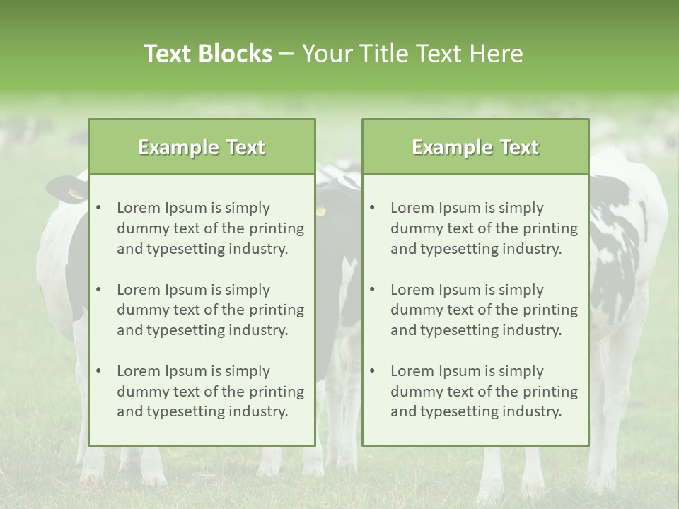 Rural Dairy Cattle Animal PowerPoint Template