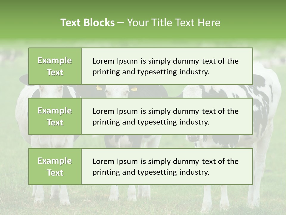 Rural Dairy Cattle Animal PowerPoint Template