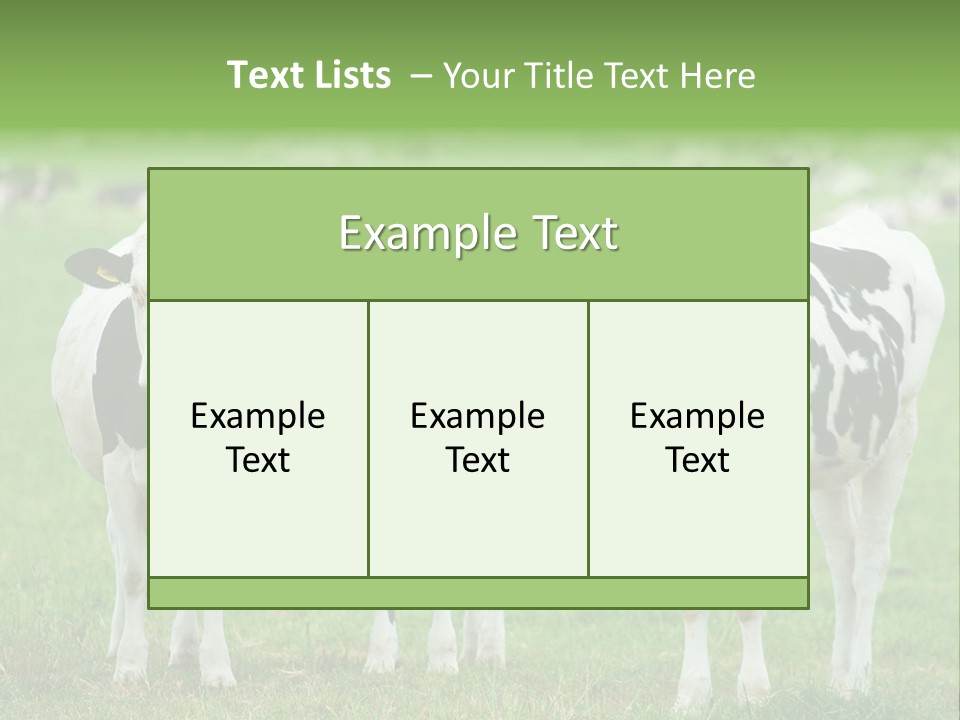 Rural Dairy Cattle Animal PowerPoint Template