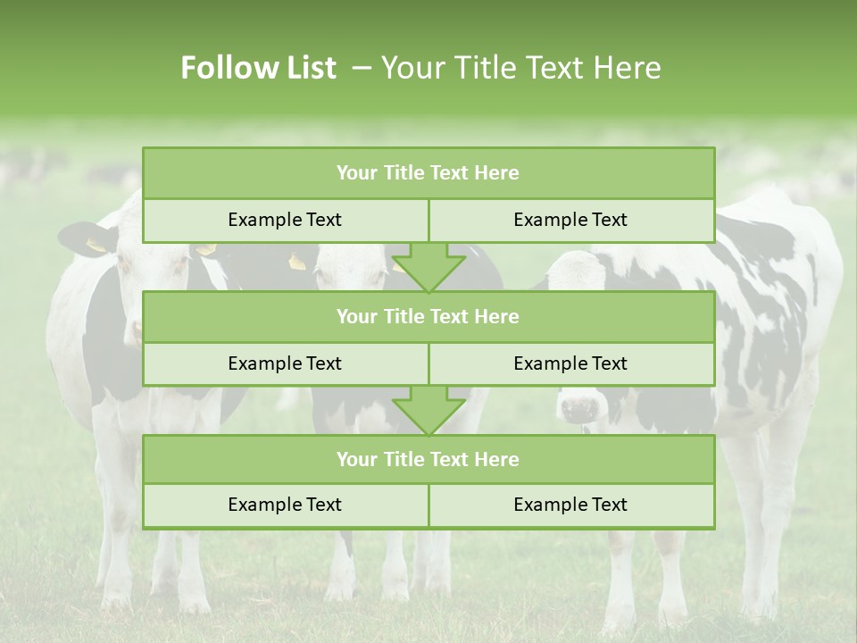 Rural Dairy Cattle Animal PowerPoint Template