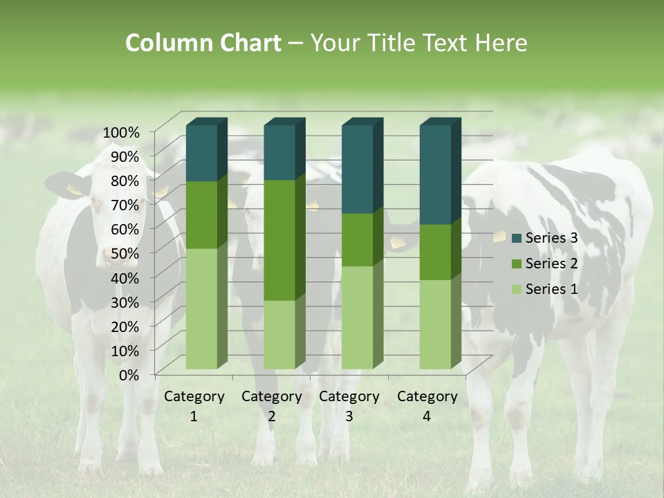 Rural Dairy Cattle Animal PowerPoint Template