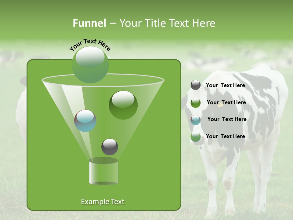 Rural Dairy Cattle Animal PowerPoint Template