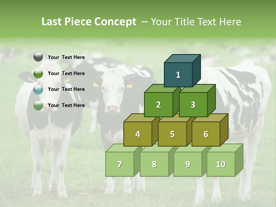 Rural Dairy Cattle Animal PowerPoint Template
