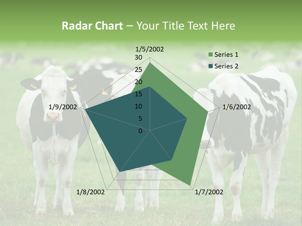 Rural Dairy Cattle Animal PowerPoint Template