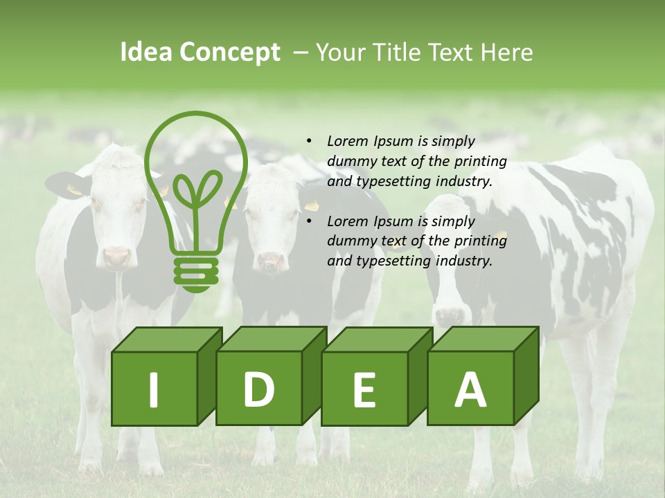 Rural Dairy Cattle Animal PowerPoint Template