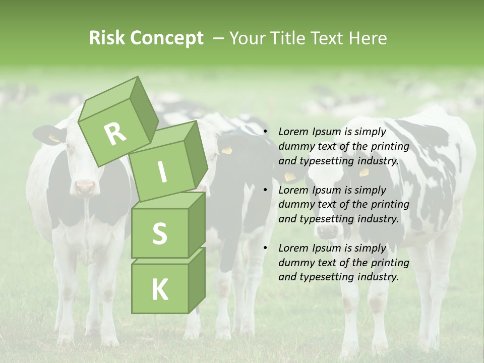 Rural Dairy Cattle Animal PowerPoint Template