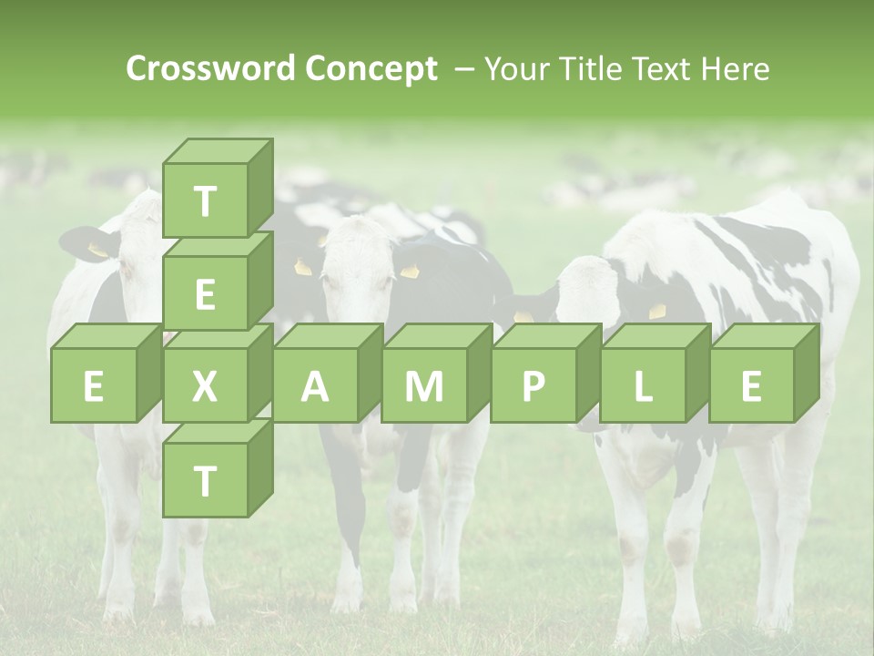 Rural Dairy Cattle Animal PowerPoint Template