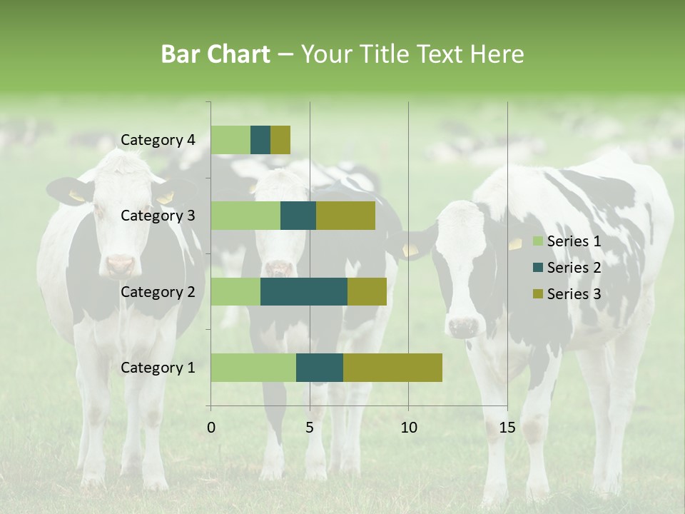 Rural Dairy Cattle Animal PowerPoint Template