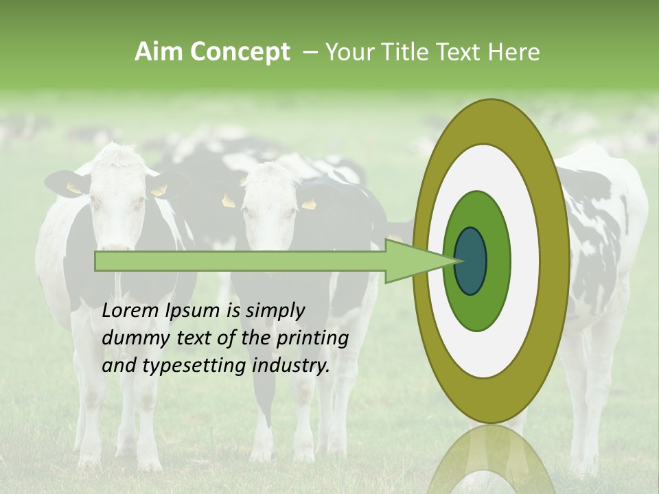 Rural Dairy Cattle Animal PowerPoint Template