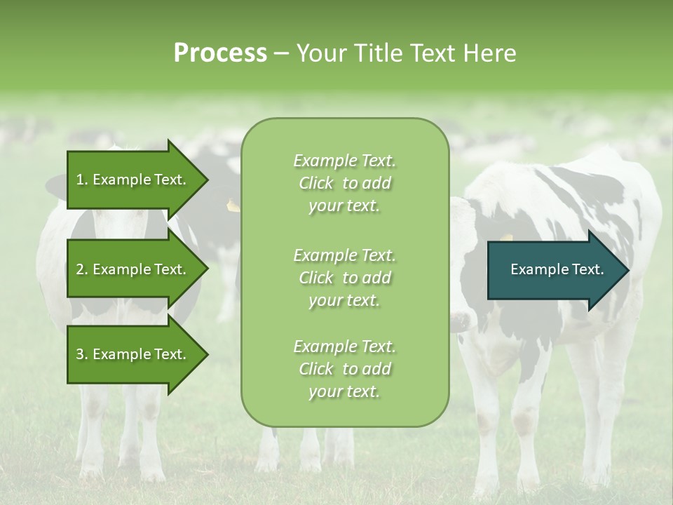 Rural Dairy Cattle Animal PowerPoint Template