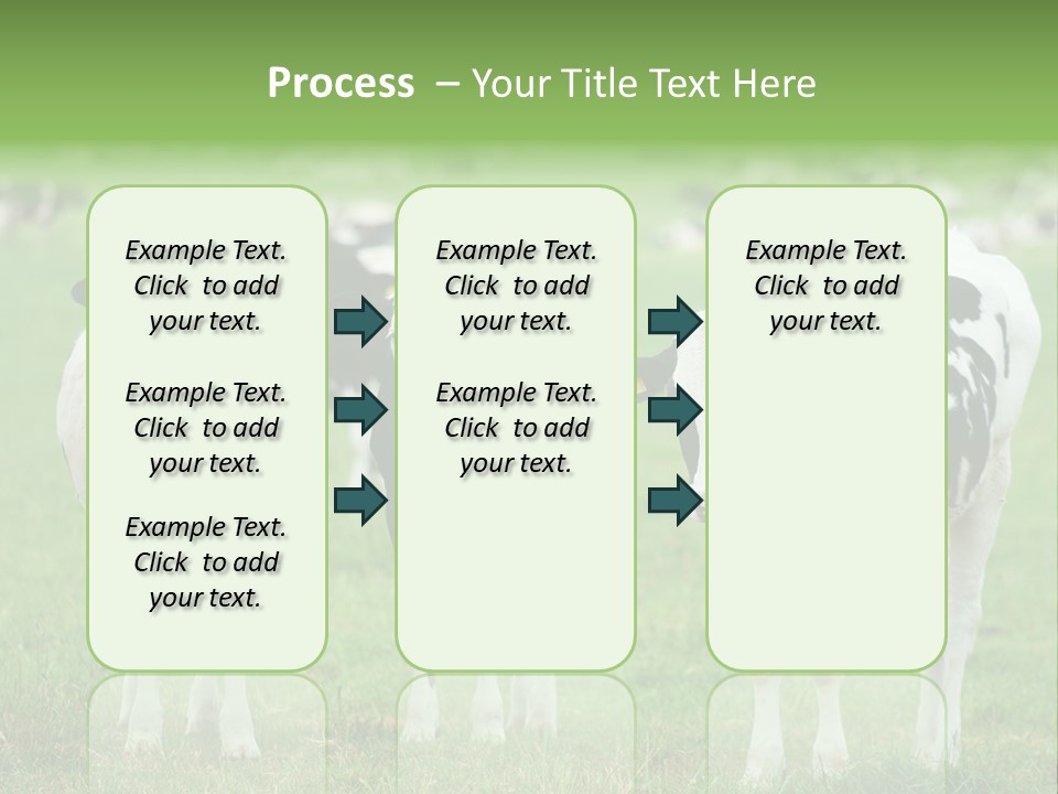 Rural Dairy Cattle Animal PowerPoint Template